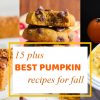 15 plus Best Pumpkin Recipes for Fall
